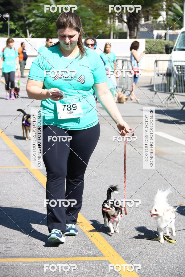 Buy your photos of the event2� Pet Run Shopping Eldorado  on Fotop