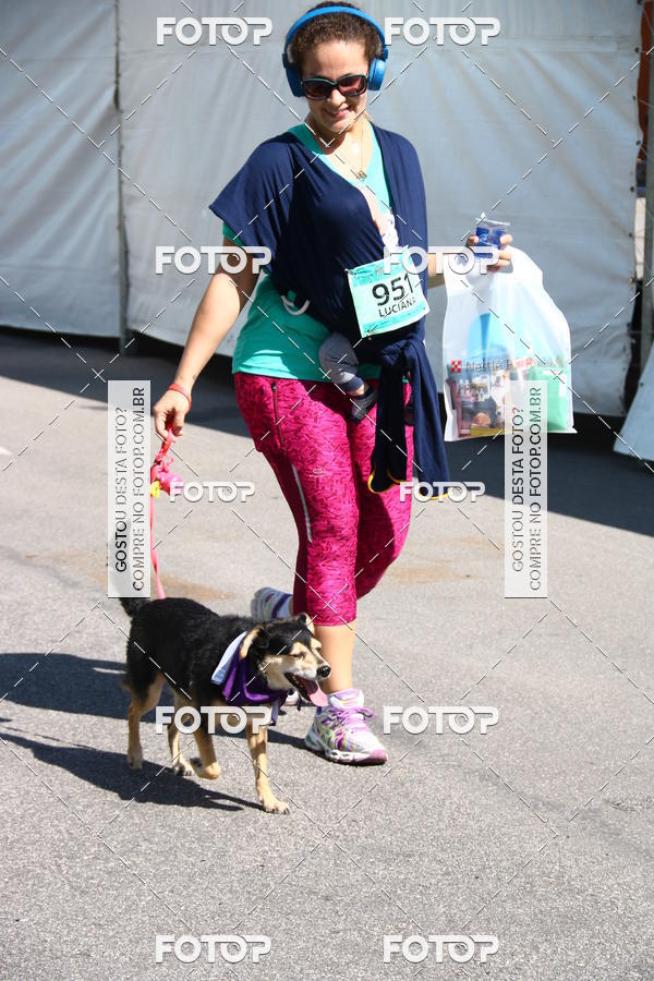 Buy your photos of the event2� Pet Run Shopping Eldorado  on Fotop