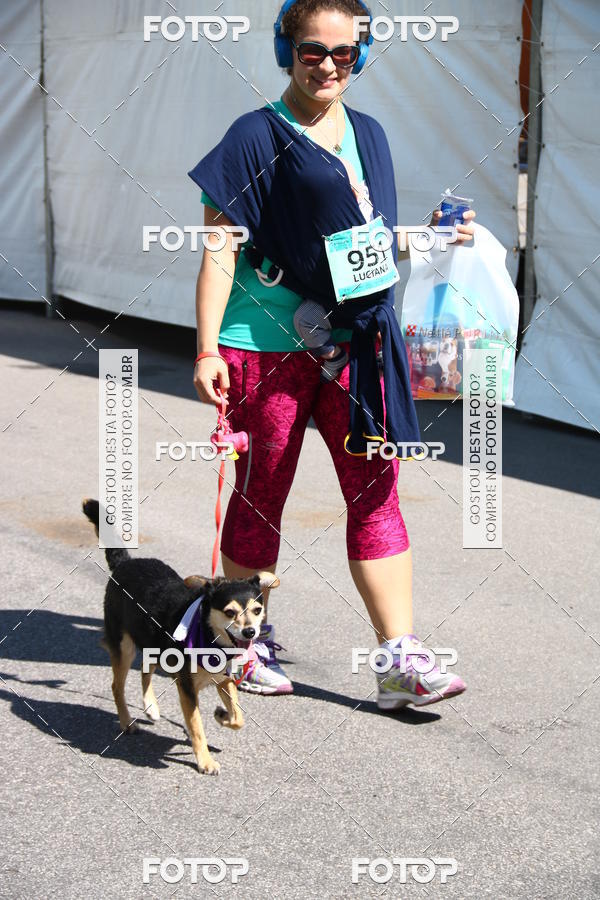 Buy your photos of the event2� Pet Run Shopping Eldorado  on Fotop