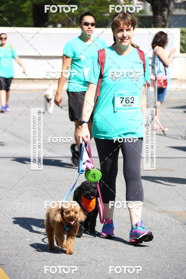 Buy your photos of the event2� Pet Run Shopping Eldorado  on Fotop