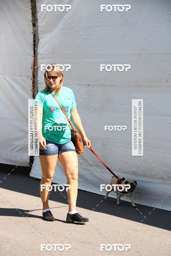 Buy your photos of the event2� Pet Run Shopping Eldorado  on Fotop