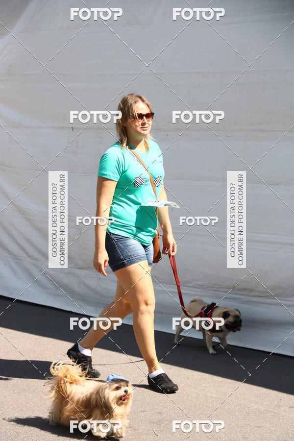 Buy your photos of the event2� Pet Run Shopping Eldorado  on Fotop