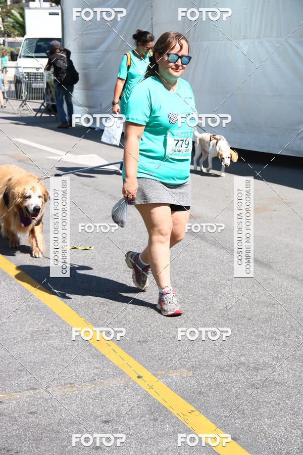 Buy your photos of the event2� Pet Run Shopping Eldorado  on Fotop