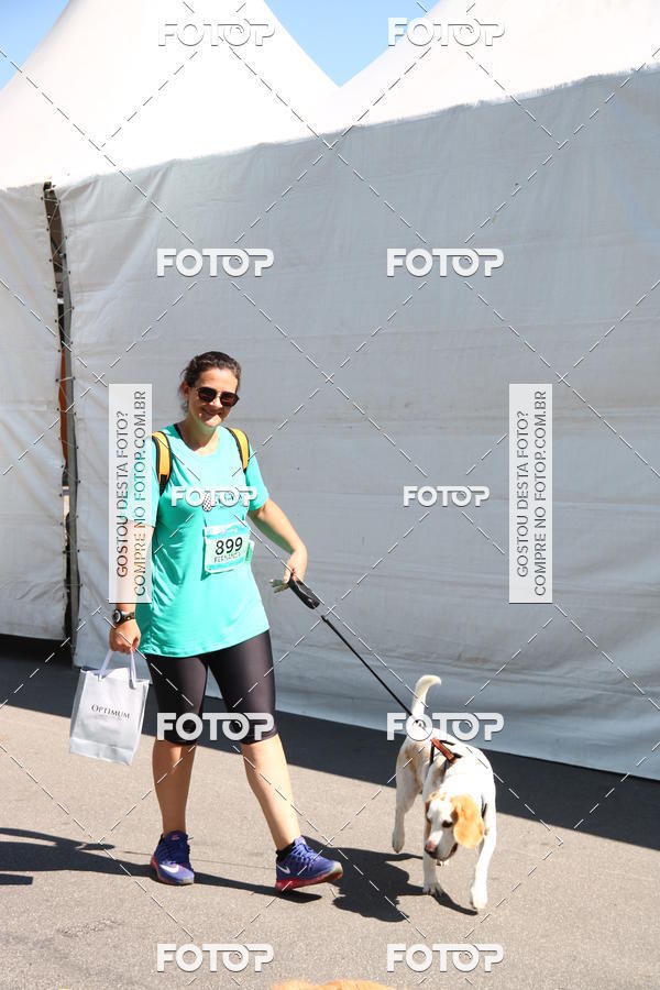 Buy your photos of the event2� Pet Run Shopping Eldorado  on Fotop