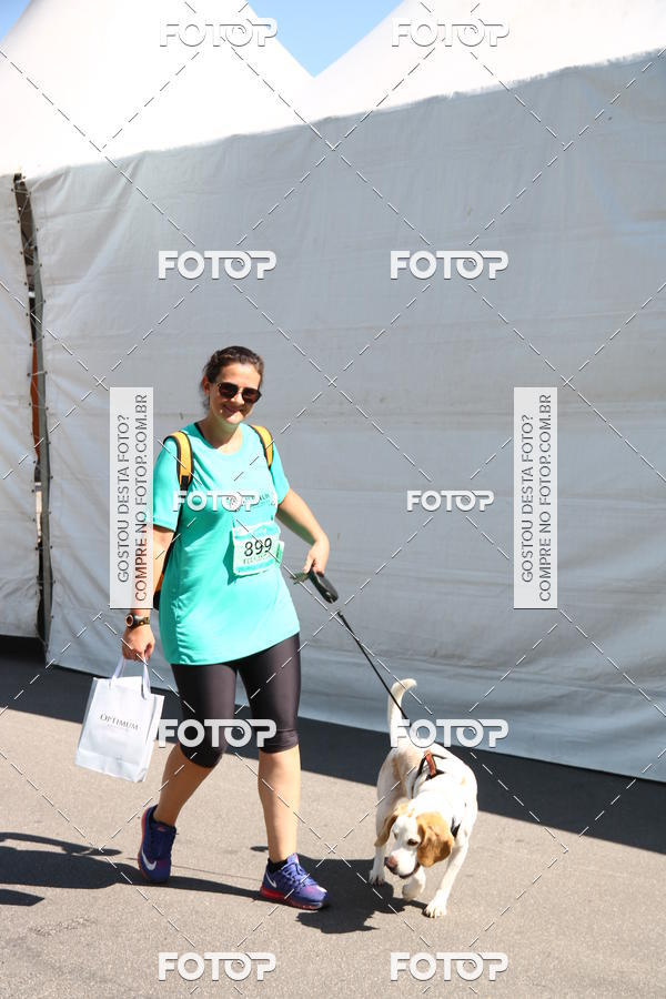 Buy your photos of the event2� Pet Run Shopping Eldorado  on Fotop