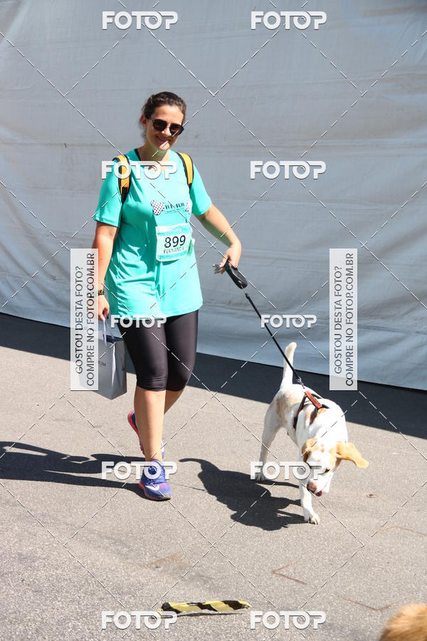 Buy your photos of the event2� Pet Run Shopping Eldorado  on Fotop