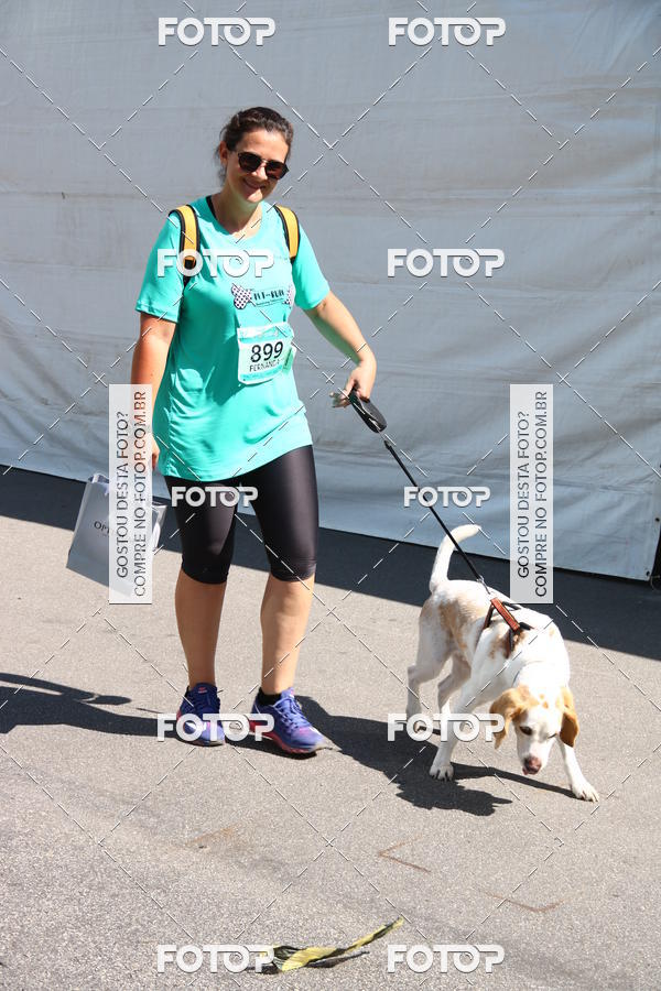 Buy your photos of the event2� Pet Run Shopping Eldorado  on Fotop