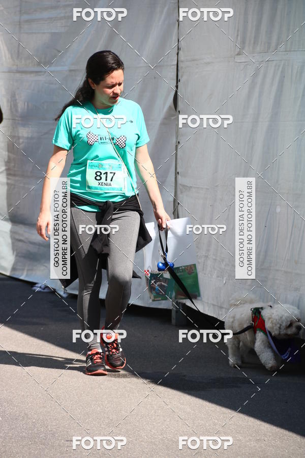 Buy your photos of the event2� Pet Run Shopping Eldorado  on Fotop