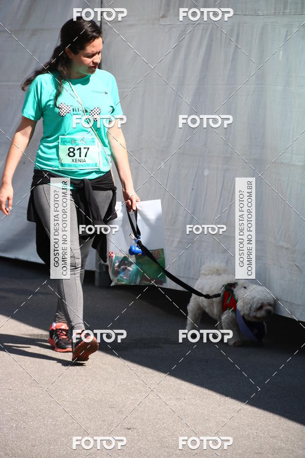 Buy your photos of the event2� Pet Run Shopping Eldorado  on Fotop