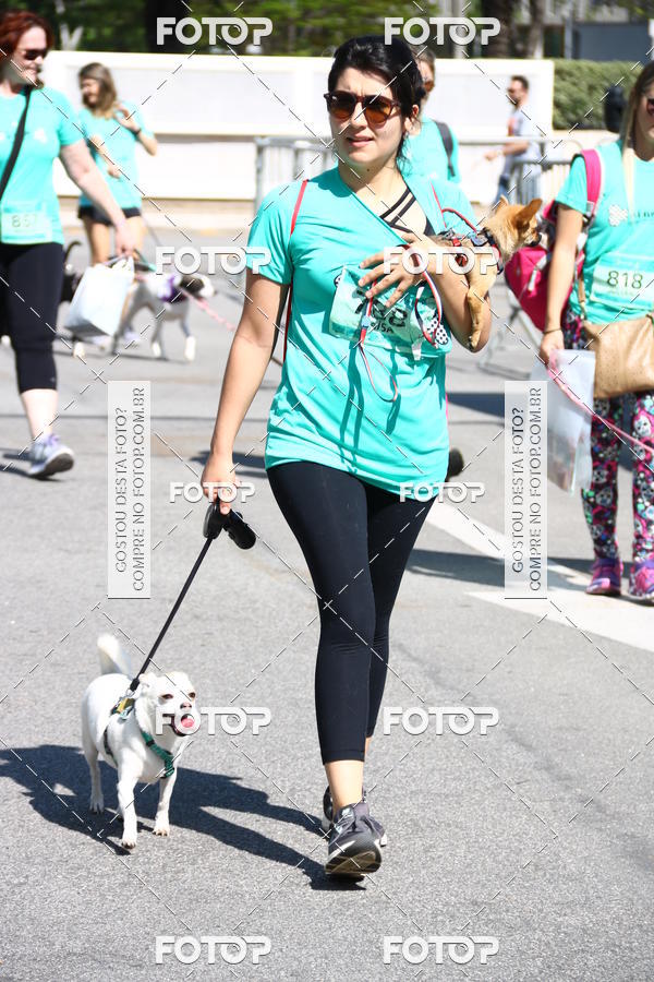 Buy your photos of the event2� Pet Run Shopping Eldorado  on Fotop