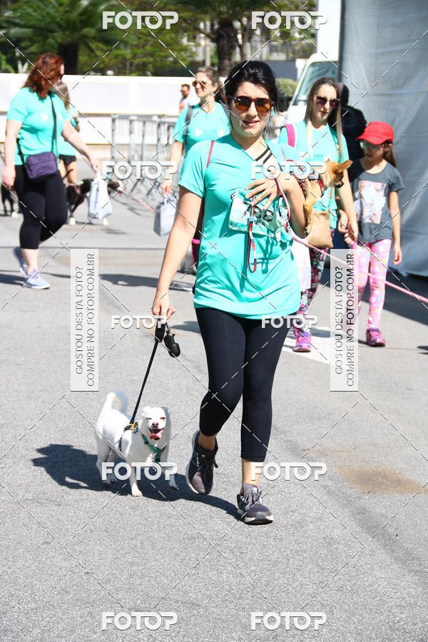 Buy your photos of the event2� Pet Run Shopping Eldorado  on Fotop