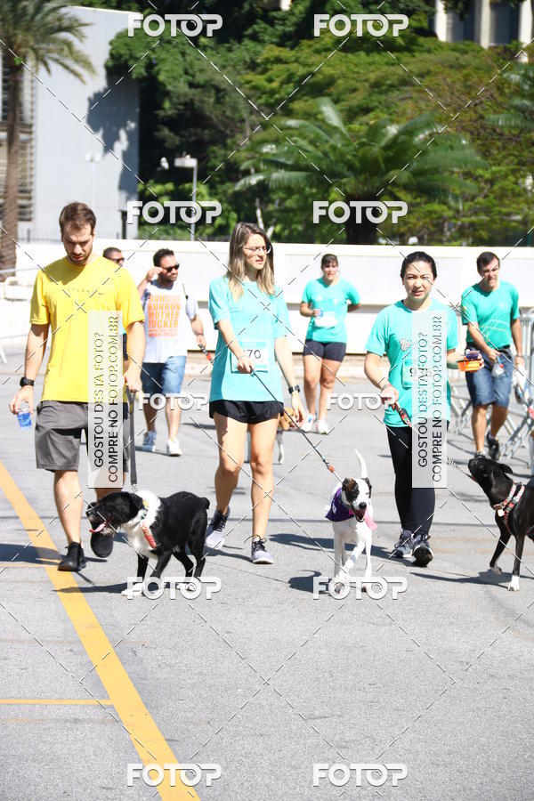 Buy your photos of the event2� Pet Run Shopping Eldorado  on Fotop
