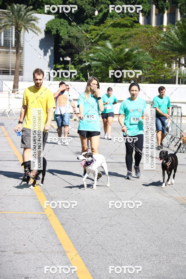 Buy your photos of the event2� Pet Run Shopping Eldorado  on Fotop