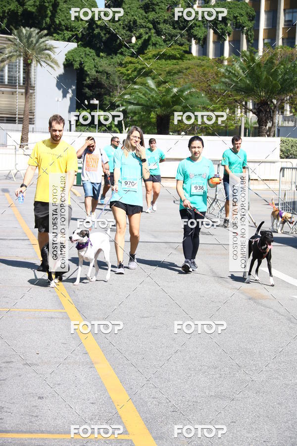 Buy your photos of the event2� Pet Run Shopping Eldorado  on Fotop