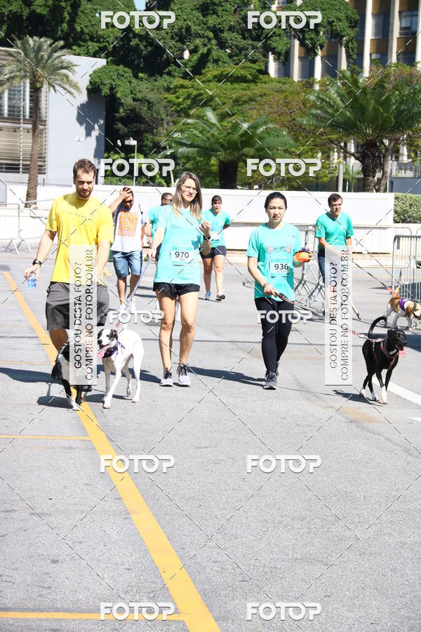 Buy your photos of the event2 Pet Run Shopping Eldorado  on Fotop