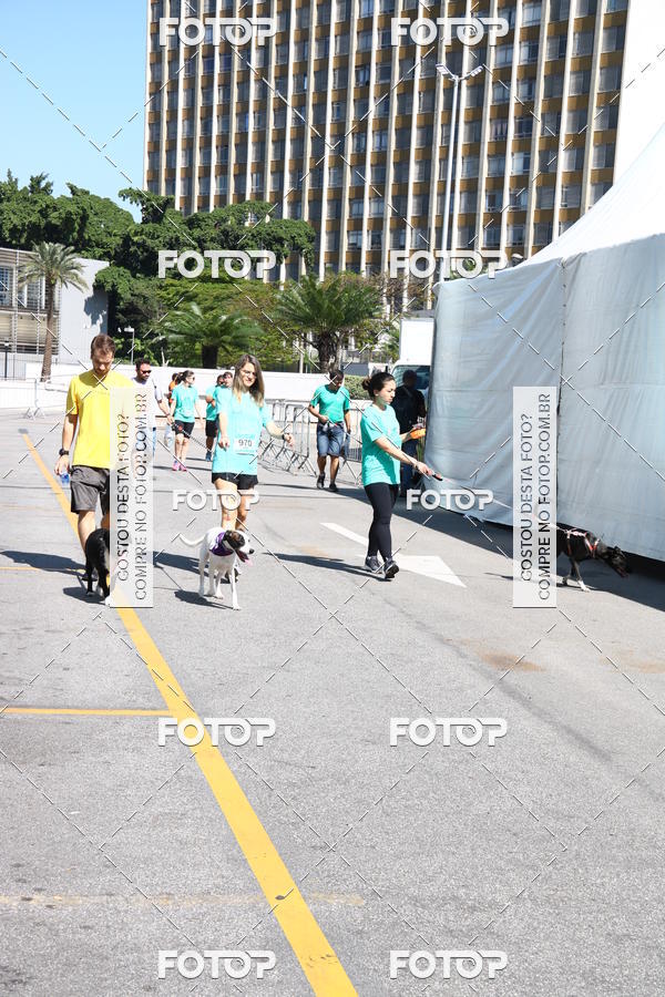 Buy your photos of the event2 Pet Run Shopping Eldorado  on Fotop