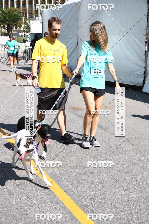 Buy your photos of the event2 Pet Run Shopping Eldorado  on Fotop