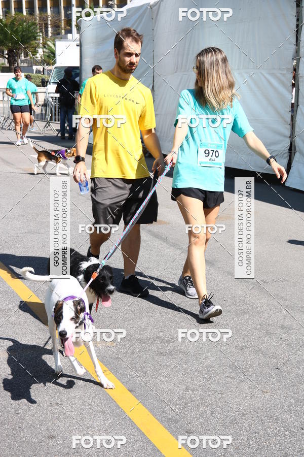 Buy your photos of the event2 Pet Run Shopping Eldorado  on Fotop