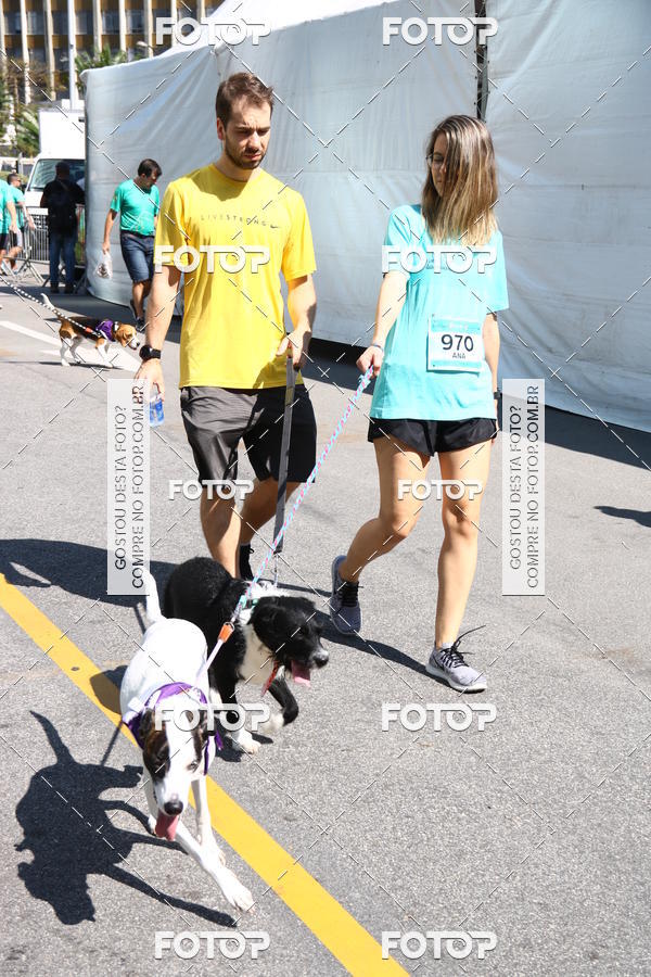 Buy your photos of the event2 Pet Run Shopping Eldorado  on Fotop