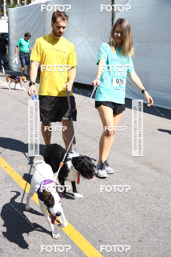 Buy your photos of the event2 Pet Run Shopping Eldorado  on Fotop