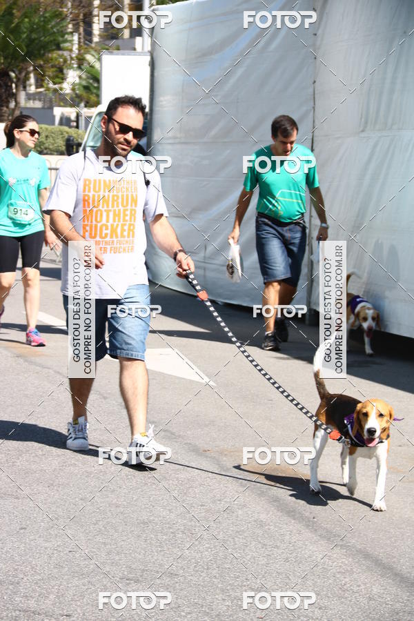 Buy your photos of the event2 Pet Run Shopping Eldorado  on Fotop