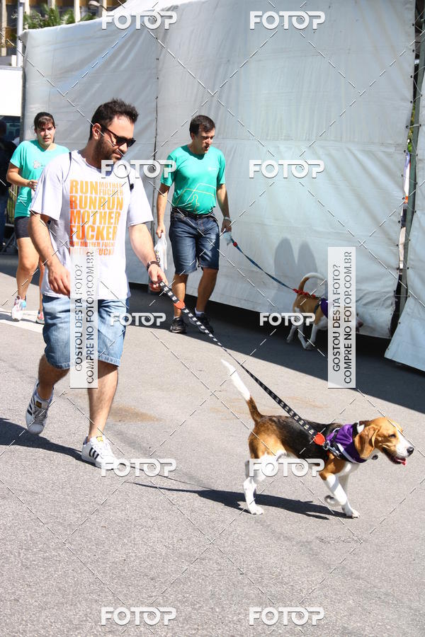 Buy your photos of the event2 Pet Run Shopping Eldorado  on Fotop
