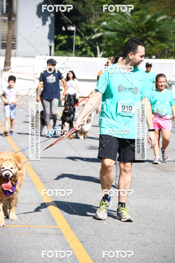 Buy your photos of the event2 Pet Run Shopping Eldorado  on Fotop