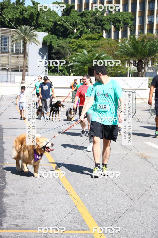 Buy your photos of the event2 Pet Run Shopping Eldorado  on Fotop