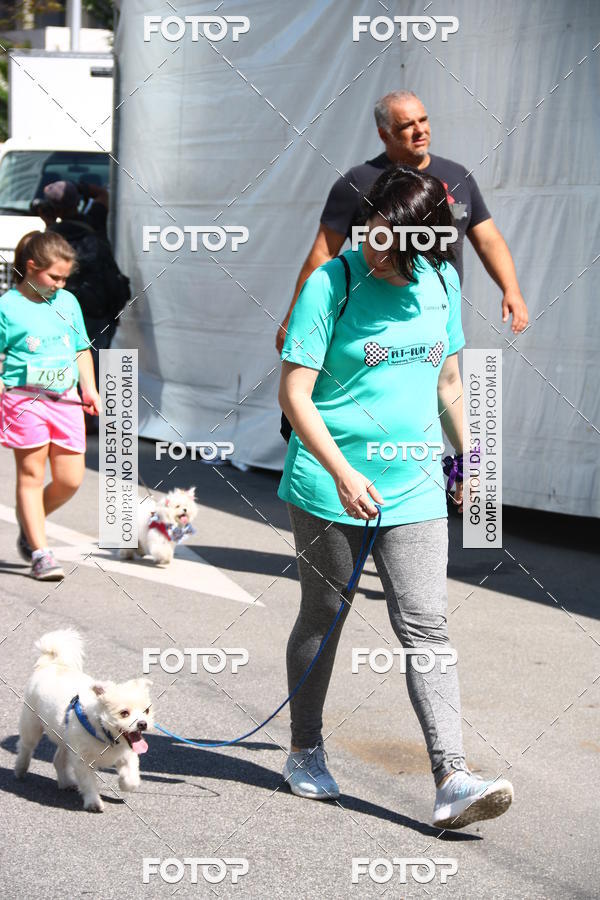Buy your photos of the event2 Pet Run Shopping Eldorado  on Fotop