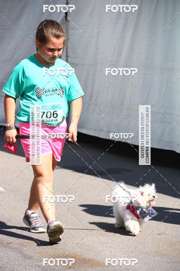 Buy your photos of the event2 Pet Run Shopping Eldorado  on Fotop