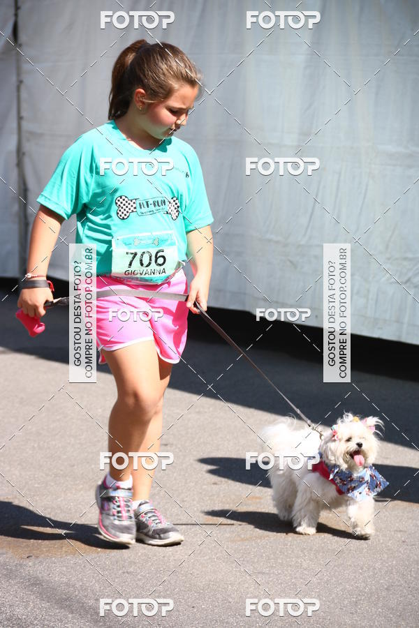 Buy your photos of the event2 Pet Run Shopping Eldorado  on Fotop