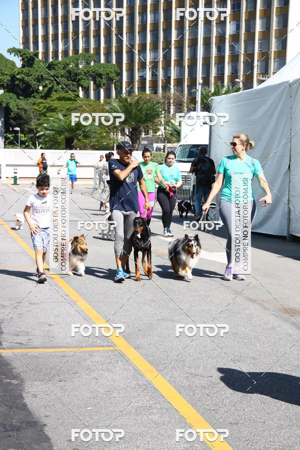 Buy your photos of the event2 Pet Run Shopping Eldorado  on Fotop