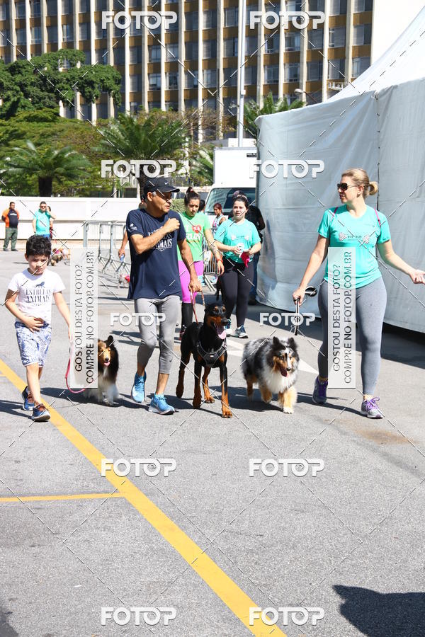 Buy your photos of the event2 Pet Run Shopping Eldorado  on Fotop