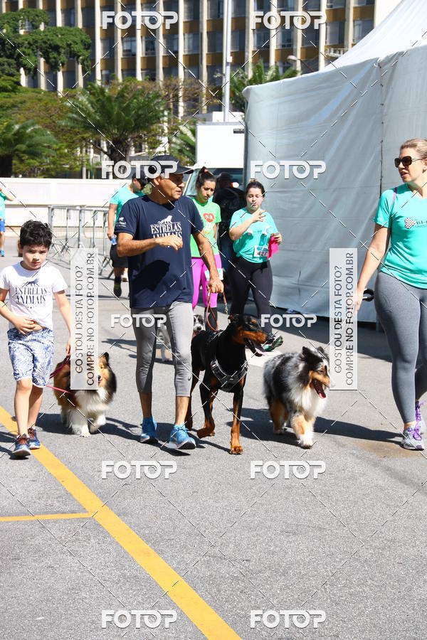Buy your photos of the event2 Pet Run Shopping Eldorado  on Fotop