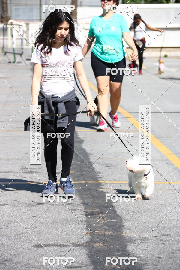 Buy your photos of the event2 Pet Run Shopping Eldorado  on Fotop