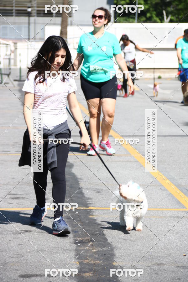 Buy your photos of the event2 Pet Run Shopping Eldorado  on Fotop