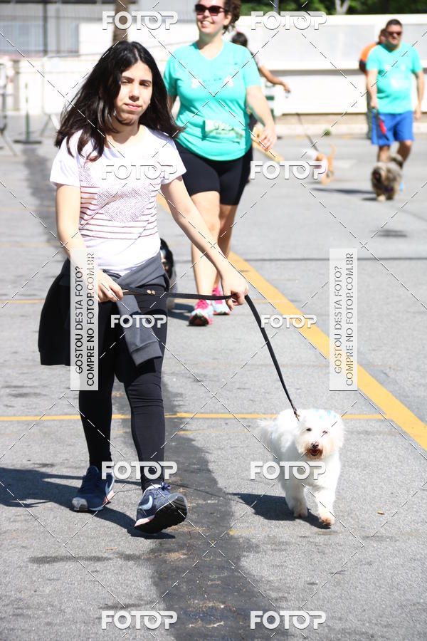 Buy your photos of the event2 Pet Run Shopping Eldorado  on Fotop