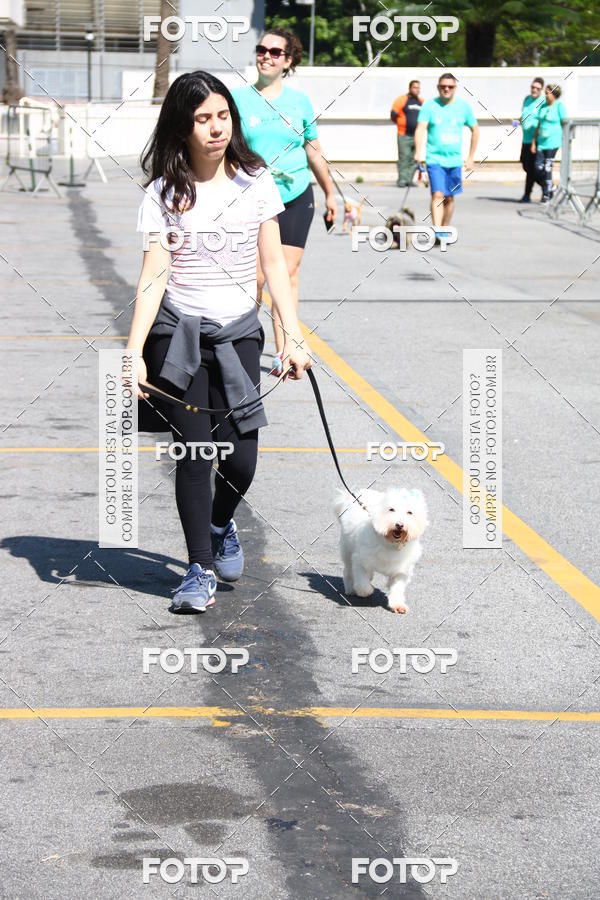 Buy your photos of the event2 Pet Run Shopping Eldorado  on Fotop