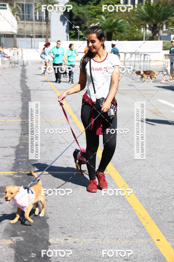 Buy your photos of the event2 Pet Run Shopping Eldorado  on Fotop
