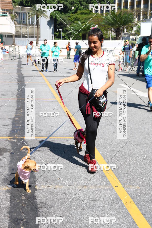 Buy your photos of the event2 Pet Run Shopping Eldorado  on Fotop