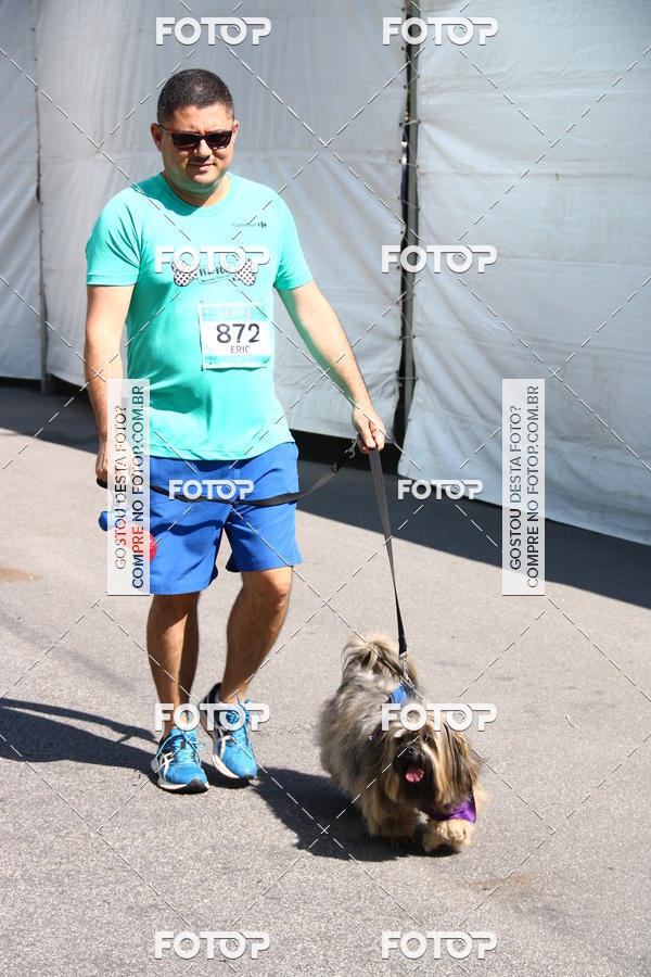 Buy your photos of the event2 Pet Run Shopping Eldorado  on Fotop