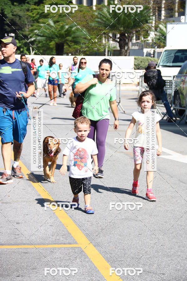 Buy your photos of the event2 Pet Run Shopping Eldorado  on Fotop