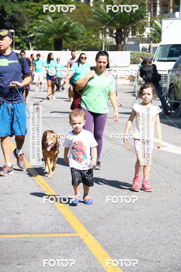 Buy your photos of the event2 Pet Run Shopping Eldorado  on Fotop