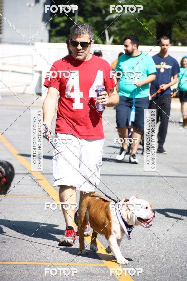 Buy your photos of the event2 Pet Run Shopping Eldorado  on Fotop