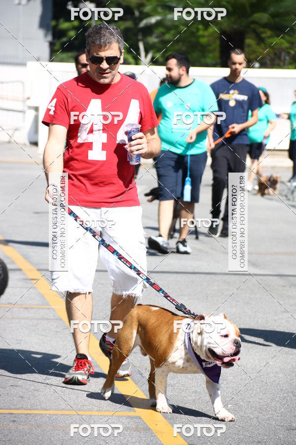 Buy your photos of the event2 Pet Run Shopping Eldorado  on Fotop