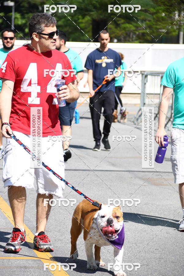 Buy your photos of the event2 Pet Run Shopping Eldorado  on Fotop