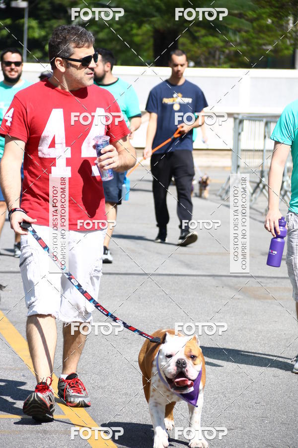 Buy your photos of the event2 Pet Run Shopping Eldorado  on Fotop