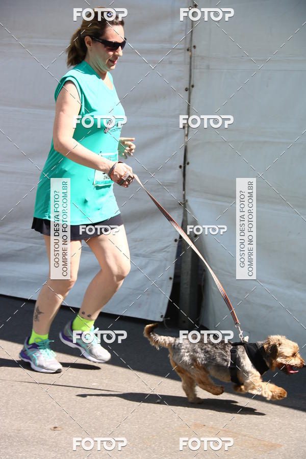 Buy your photos of the event2 Pet Run Shopping Eldorado  on Fotop
