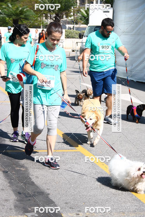 Buy your photos of the event2 Pet Run Shopping Eldorado  on Fotop