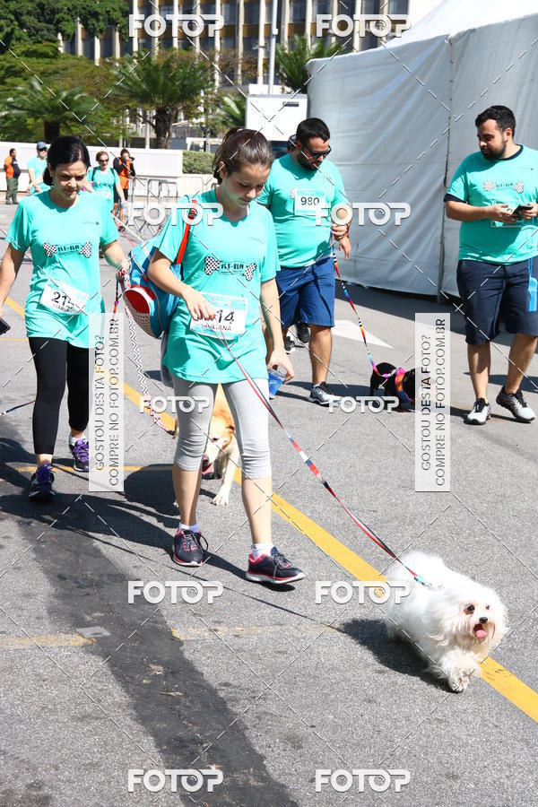Buy your photos of the event2 Pet Run Shopping Eldorado  on Fotop